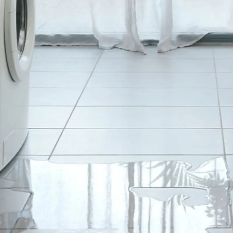Appliance Leak Cleanup in Sharpsburg, NC