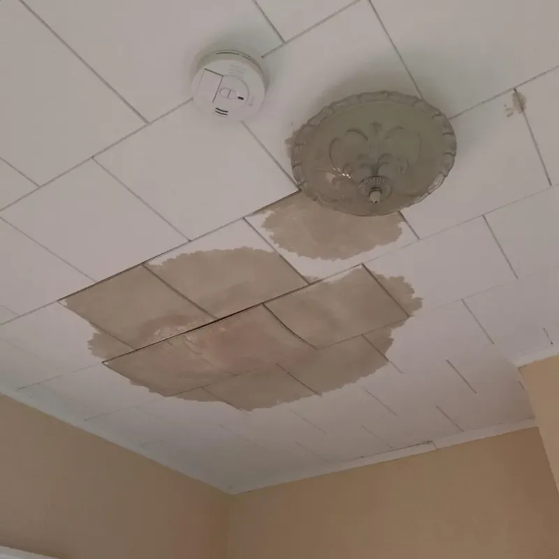 Ceiling Water Damage Repair in Sharpsburg, NC