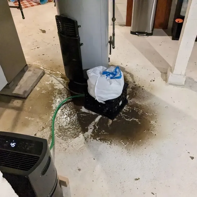 Sewage Backup Cleanup Service in Sharpsburg, NC